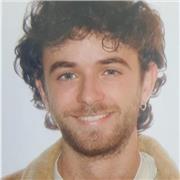 Profesor de apoyo escolar de cualquier asignatura en primaria y asignaturas como matemáticas o física en ESO y Bachillerato